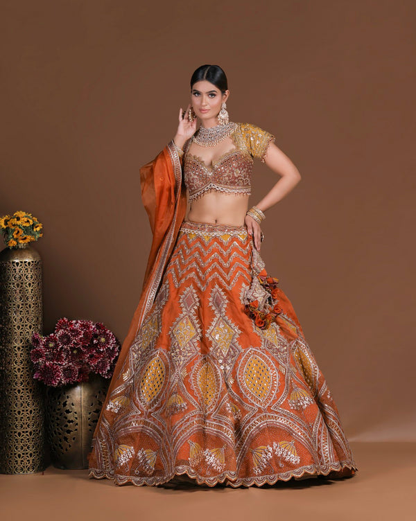 Rust Patch Organza Lehenga Set (DK-12)