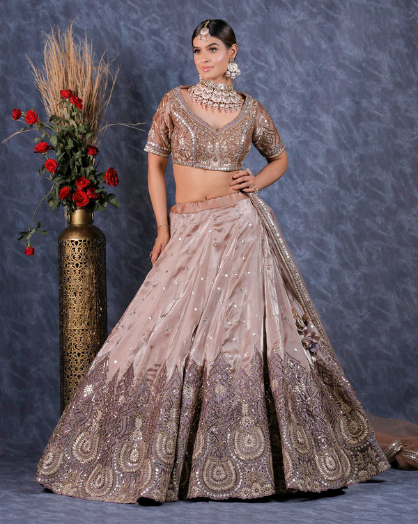 Nude Onion+Mauve Tissue Lehenga Set (DK-20)