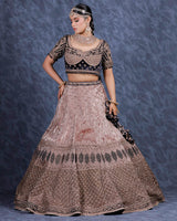 Nude+Navy Tissue Velvet Lehenga Set (DK-24)