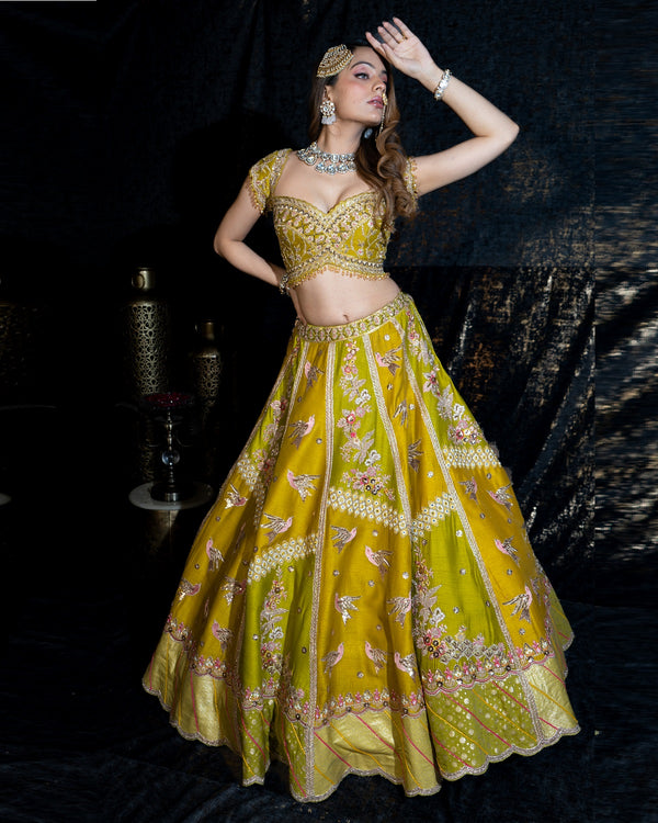 Green Mustard Bird Lehenga set (Dk07)