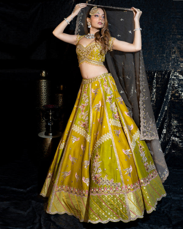 Green Mustard Bird Lehenga set (Dk07)