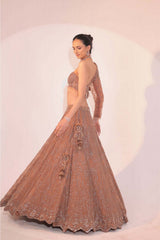 Brown Lehenga(G-53)