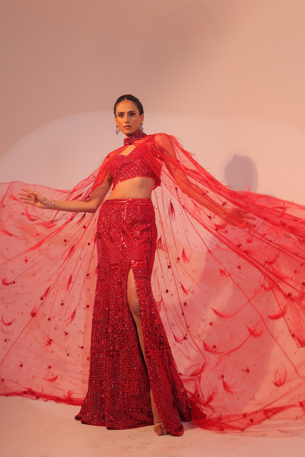 Red Lehenga(G-56)