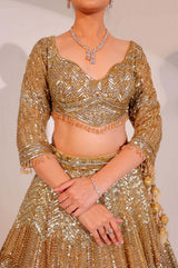 Gold Lehenga (G-60)
