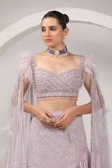 Dazzling layered skirt paired with long sleeves hand embroidered choli.(G-52)