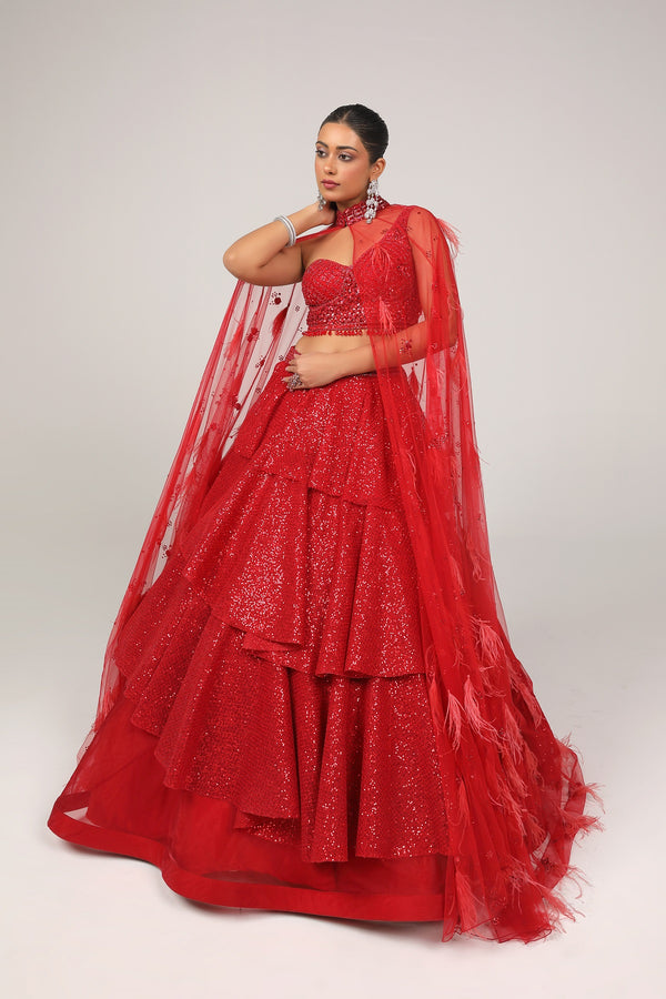 Red dazzling skirt in a tappered cut paired with hand embroidered choli(G-56)