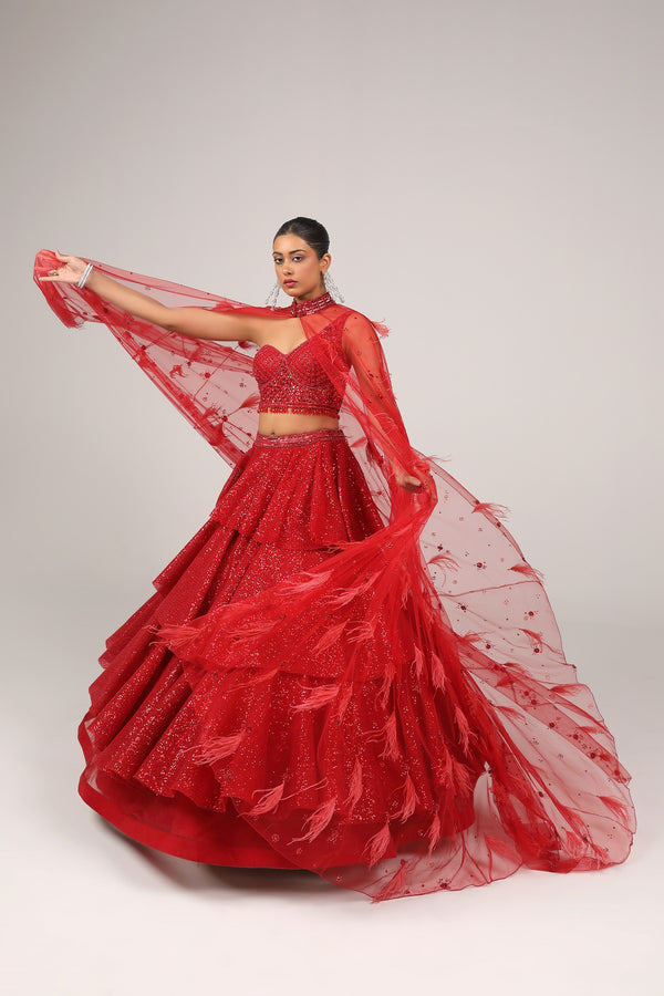 Red dazzling skirt in a tappered cut paired with hand embroidered choli(G-56)