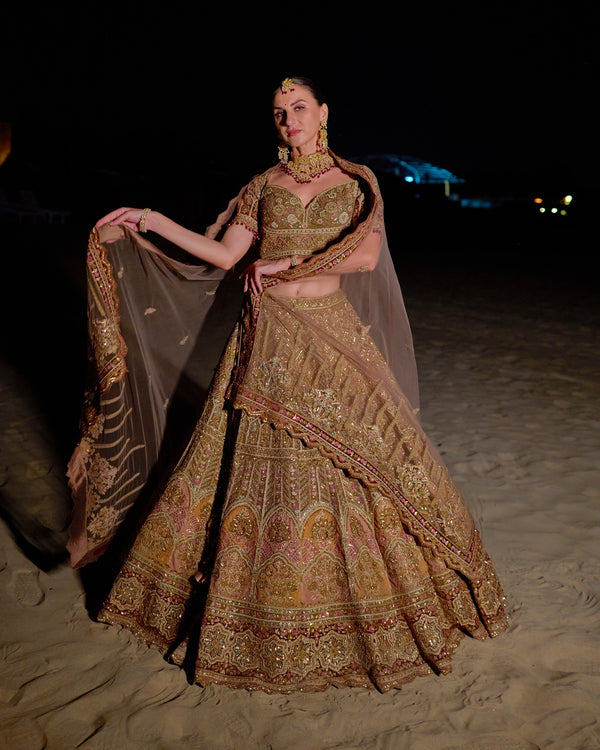 Gold gilded lehenga(RH-08)